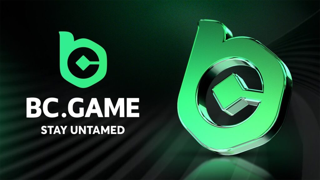 The Evolution of Gaming with BC CO Redefining the Online Experience The Evolution of Gaming with BC CO Redefining the Online Experience