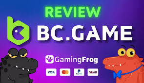 Understanding the Dynamics of BC Game.vc Crash