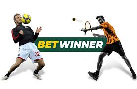 Discover the Excitement of BetWinner APK
